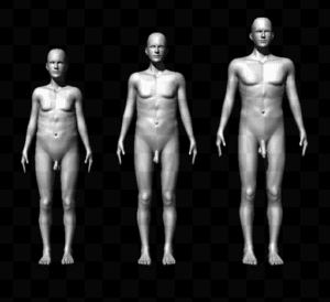 Girth v length