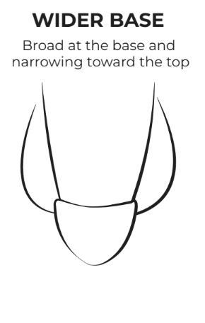 wider base penis